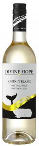 DIVINE HOPE, from South Africa